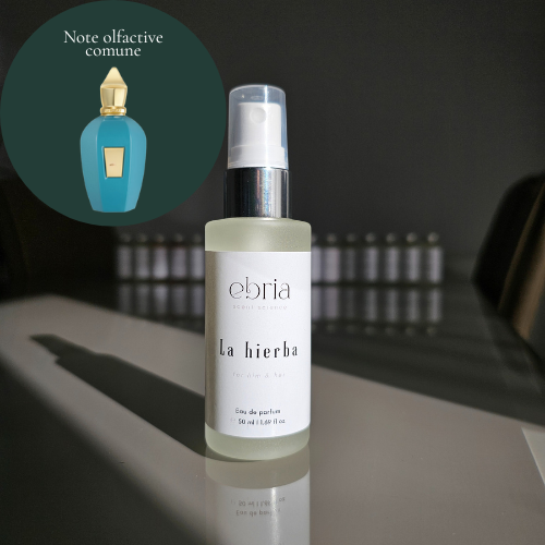 Parfum LA HIERBA by Ebria, 50 ml, inspirat din ERBA PURA - XERJOFF.