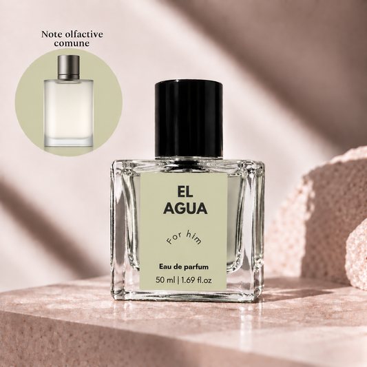 Parfum EL AGUA by Ebria, 50 ml, inspirat din ACQUA DI GIÒ - GIORGIO ARMANI.
